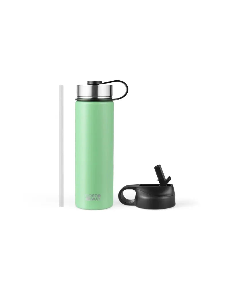 22 Oz Double-walled Insulated Stainless Steel Water Bottle with 2 Lids and Straw-Green - Green - Kitchen Utensils