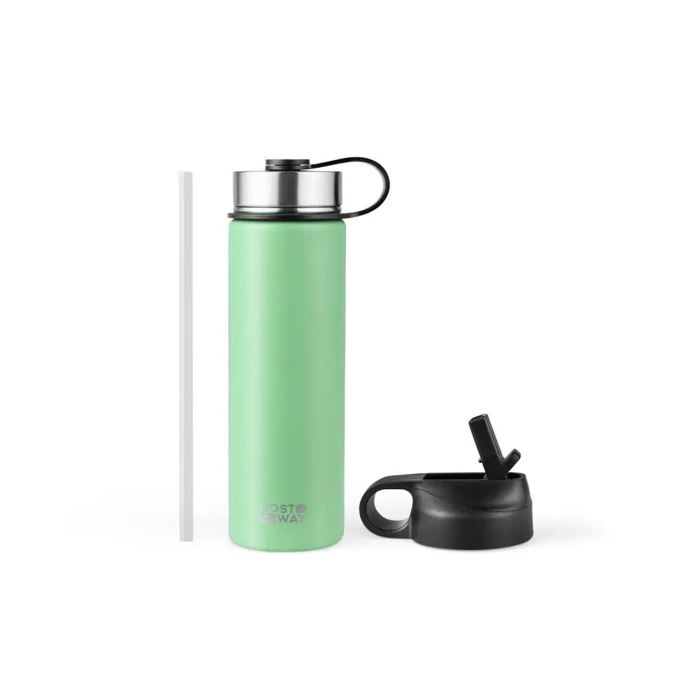 22 Oz Double-walled Insulated Stainless Steel Water Bottle with 2 Lids and Straw-Green - Green - Kitchen Utensils