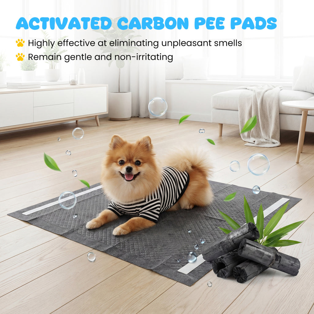 24" x 24" Charcoal Dog Pee Pads 6-Layer for Dogs-Black
