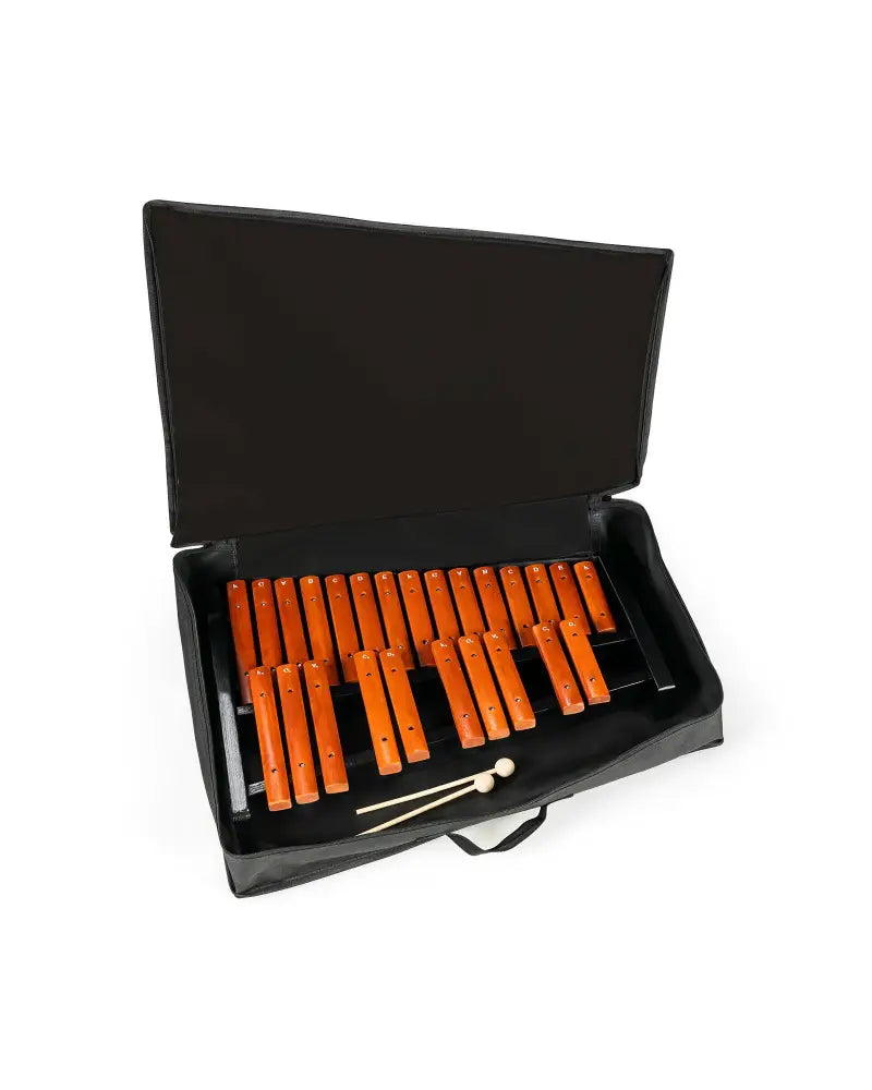 25 Notes Xylophone Wooden Percussion Educational Instrument with 2 Mallets - Black - Drums & Percussion