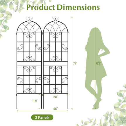 2 Pack 71" x 20" Metal Garden Trellis for Outdoor Climbing Plants