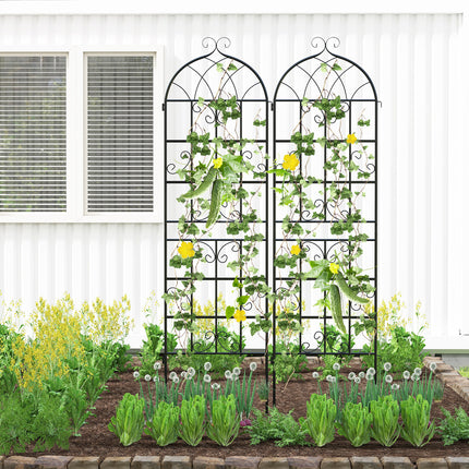 2 Pack 71" x 20" Metal Garden Trellis for Outdoor Climbing Plants