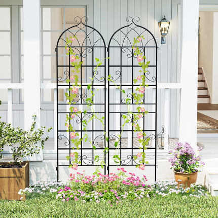 2 Pack 71" x 20" Metal Garden Trellis for Outdoor Climbing Plants