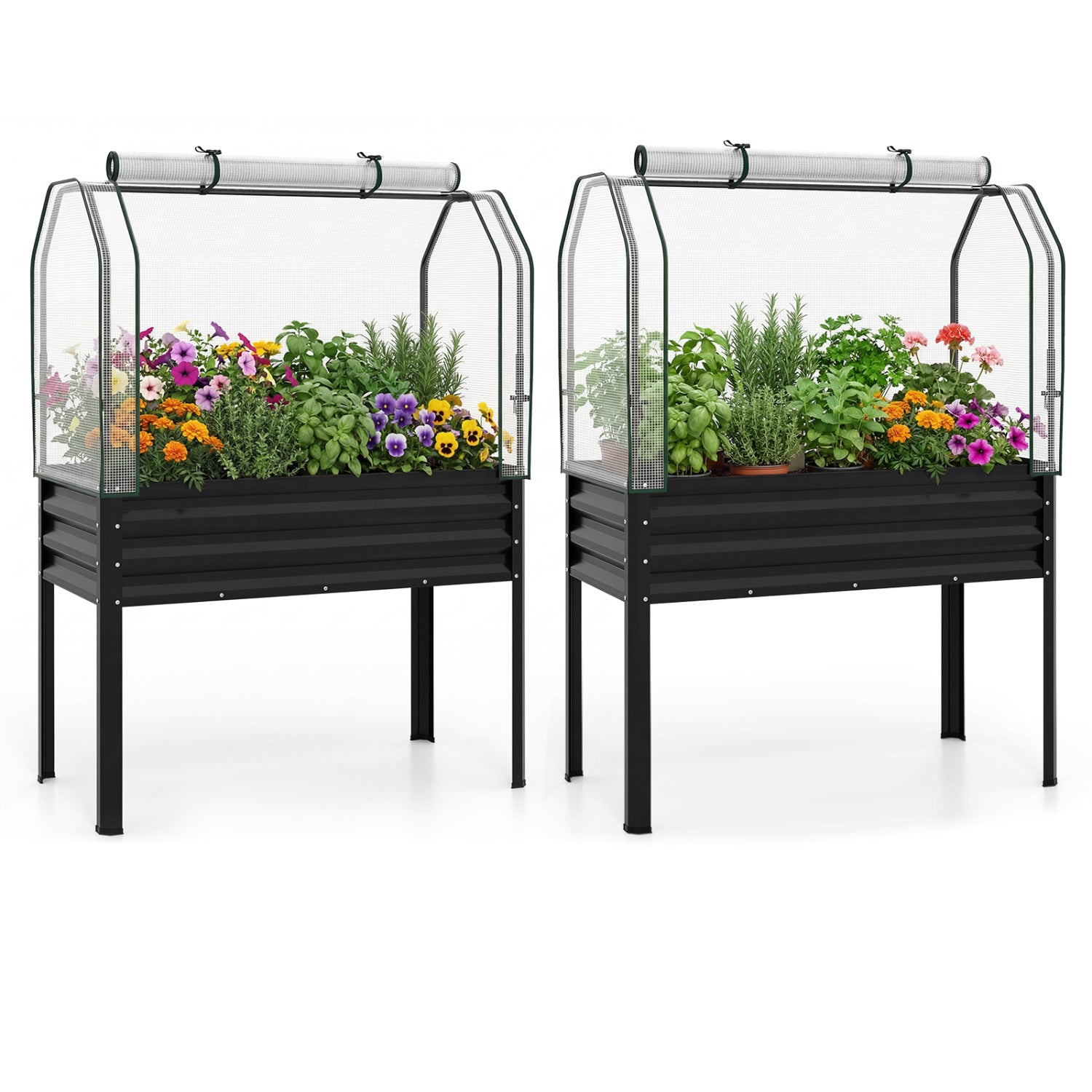 2 Pieces Galvanized Raised Garden Bed with Legs and Greenhouse Cover for Vegetable Flower-Black