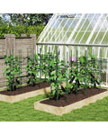 3 Pack 60 inch Adjustable Tall Plant Support Trellis for Climbing Plants - Green - Plant Supports