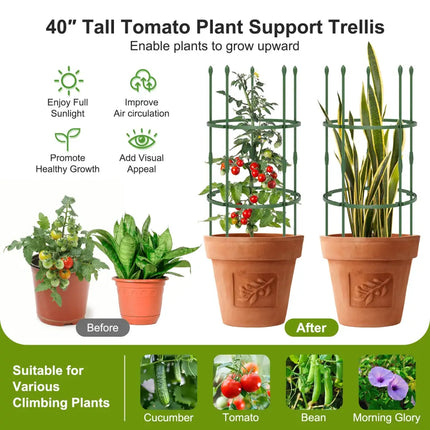 3-Pack Garden Trellis 60 Inch Tall Plant Support Stands with Clips and Ties-S - Green - Plant Supports