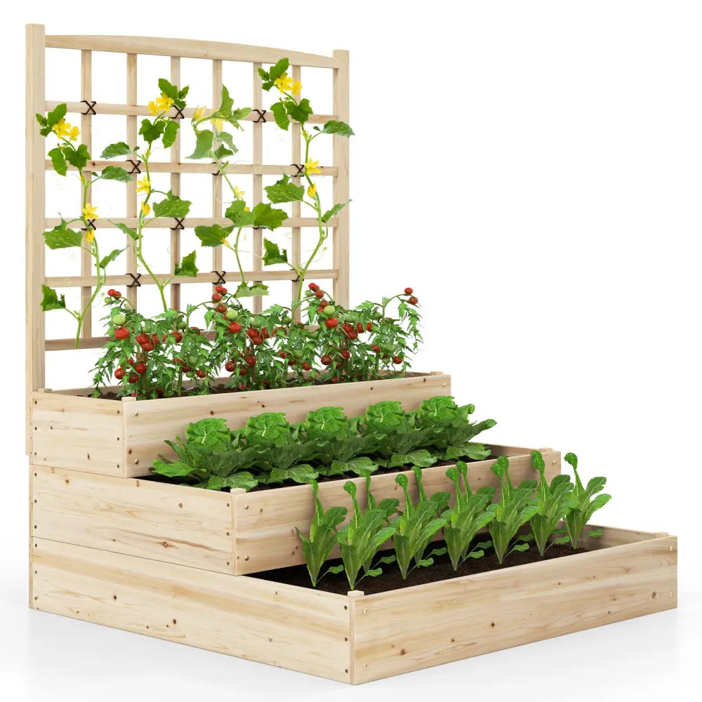 3-Tier Raised Garden Bed with Lattice Trellis and Open-Ended Base-Natural - Natural - Raised Garden Beds