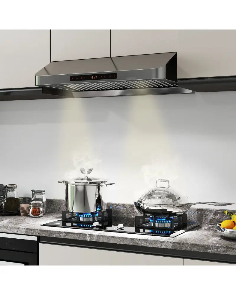 30 Inch Under Cabinet Range Hood with Oil Collector 900 CFM Stainless Steel Kitchen Vent-Silver - Silver - Kitchen