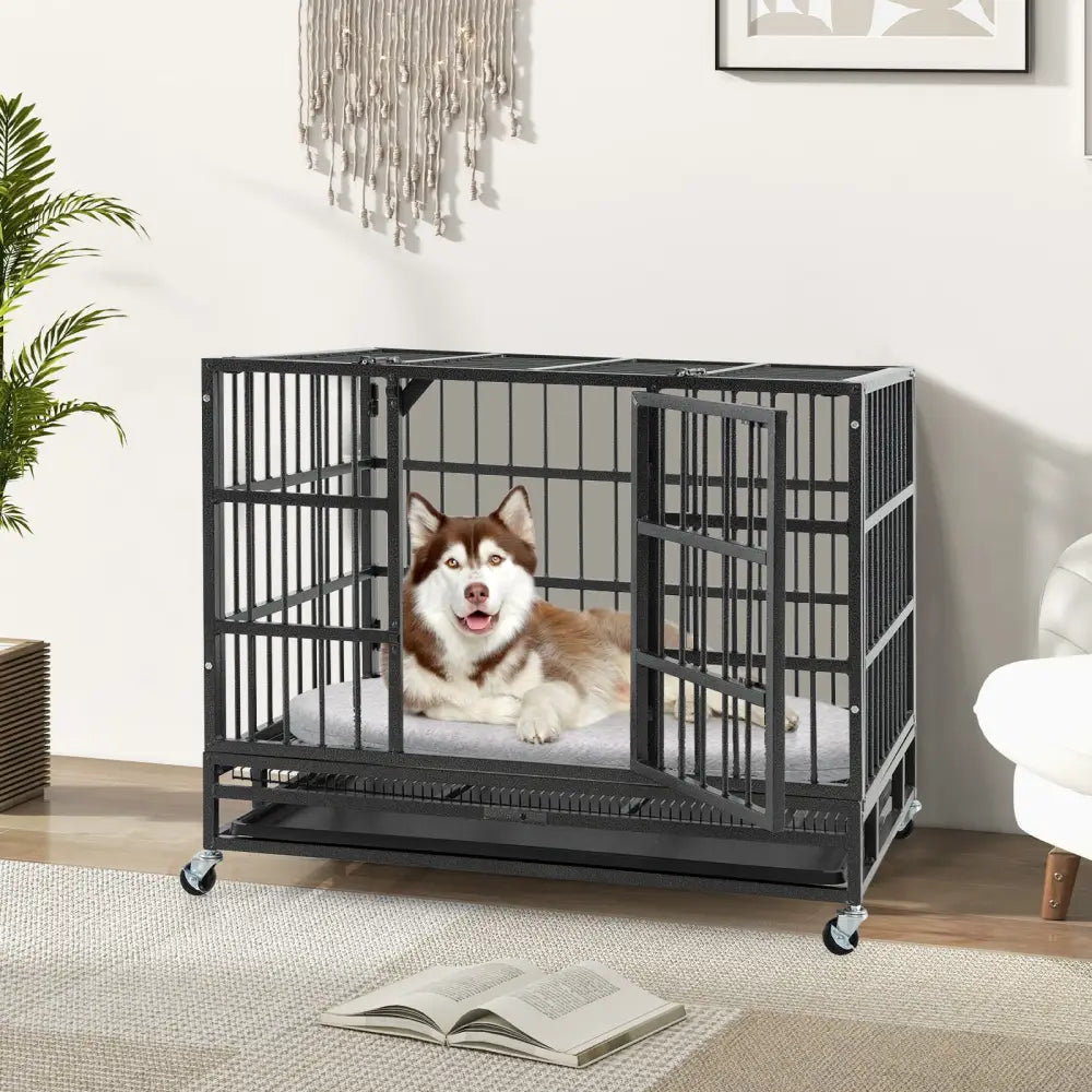 38 Inch Foldable Heavy-Duty Metal Dog Cage with Lockable Rolling Casters and Tray-38 inches - Black - Dog Kennels