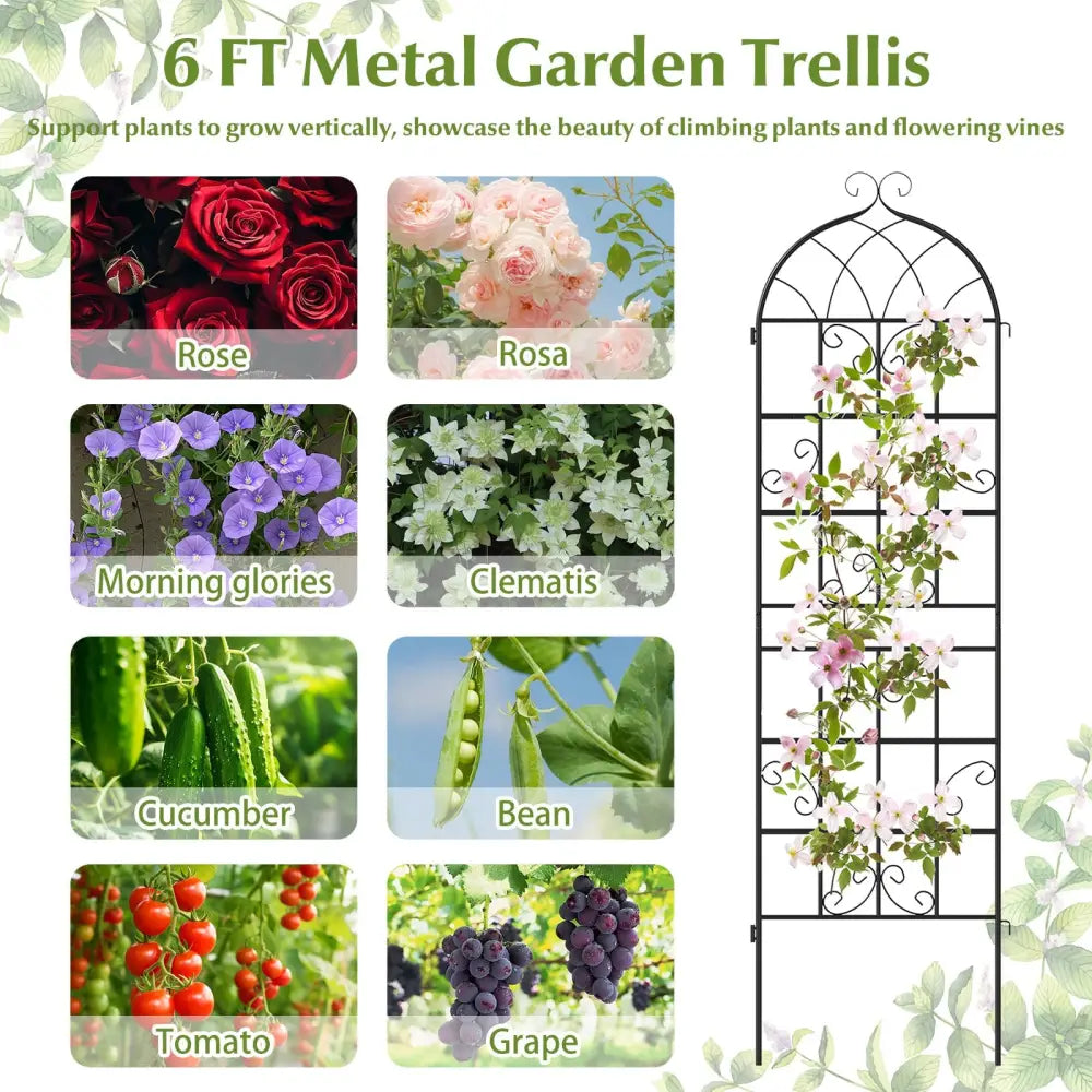 4 Pack 71’’ x 20’’ Metal Garden Trellis for Outdoor Climbing Plants - Plant Supports