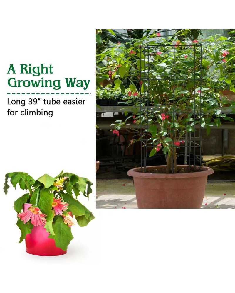 4 Pack Garden Trellis for Climbing Plants for Flower Vegetable - Black - Plant Supports