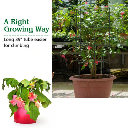 4 Pack Garden Trellis for Climbing Plants for Flower Vegetable - Black - Plant Supports