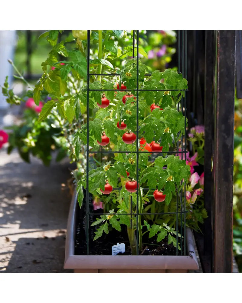 4 Pack Garden Trellis for Climbing Plants for Flower Vegetable - Black - Plant Supports