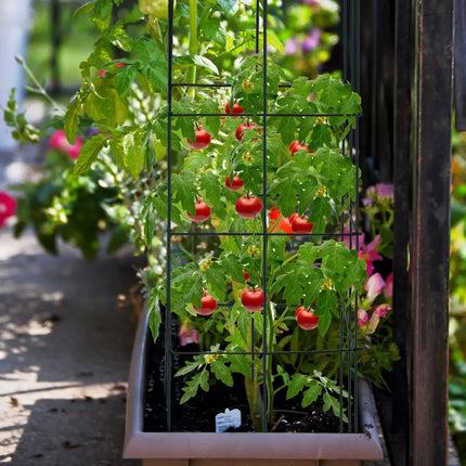 4 Pack Garden Trellis for Climbing Plants for Flower Vegetable - Black - Plant Supports