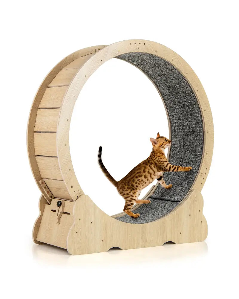 40 Inch Large Cat Exercise Wheel with Lockable Mechanism and Carpeted Runaway for Indoor Cats-Natural - Natural - Cat