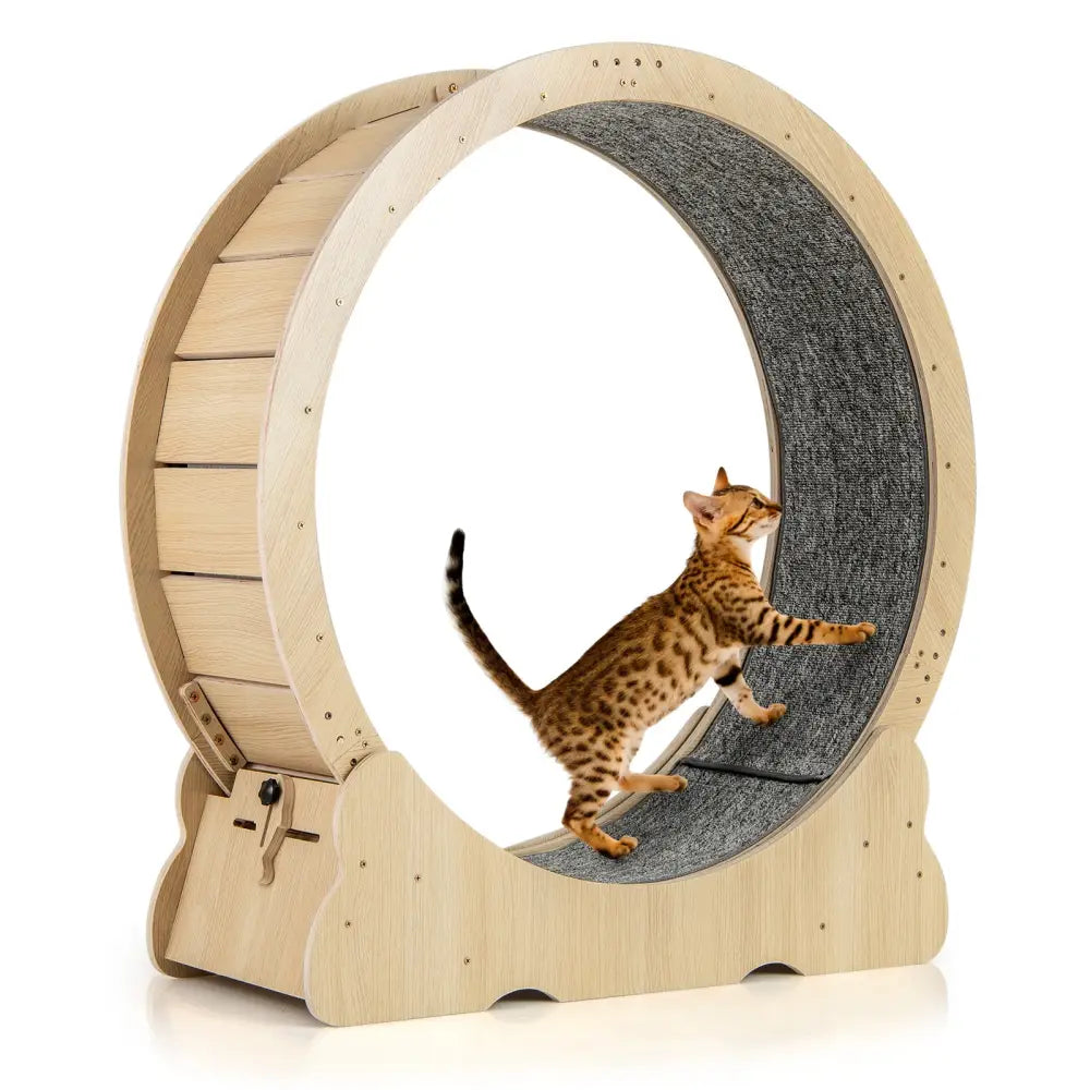 40 Inch Large Cat Exercise Wheel with Lockable Mechanism and Carpeted Runaway for Indoor Cats-Natural - Natural - Cat