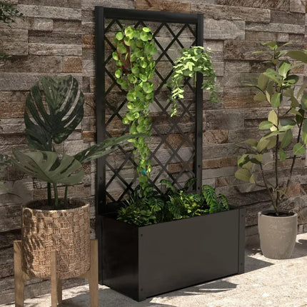 44 Inch Metal Raised Garden Bed with Trellis-Black - Black - Raised Garden Beds