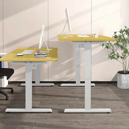 48-Inch Electric Standing Adjustable Desk with Control Panel and USB Port-Natural Costway