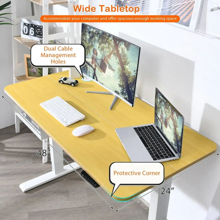 48-Inch Electric Standing Adjustable Desk with Control Panel and USB Port-Natural Costway