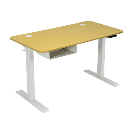 48-Inch Electric Standing Adjustable Desk with Control Panel and USB Port-Natural Costway