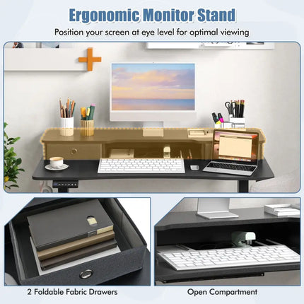 48 Inch x 24 Inch Height Adjustable Electric Standing Desk with 2 Drawers-Black Costway