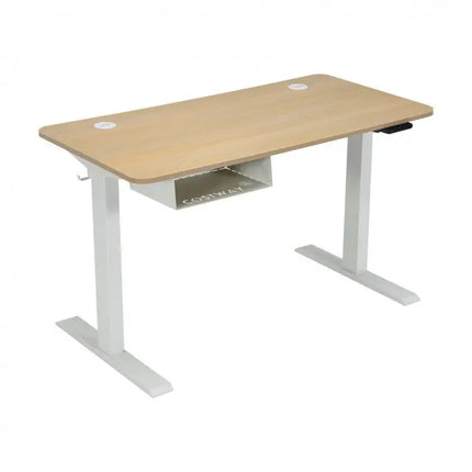 48 Inches Electric Standing Adjustable Desk with Control Panel and USB Port - Beige - Oasis Home Essentials