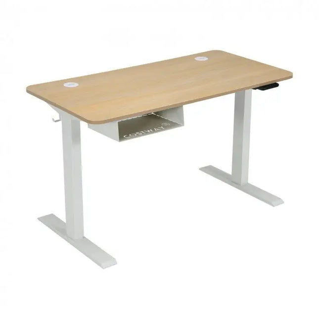 48 Inches Electric Standing Adjustable Desk with Control Panel and USB Port - Beige - Oasis Home Essentials