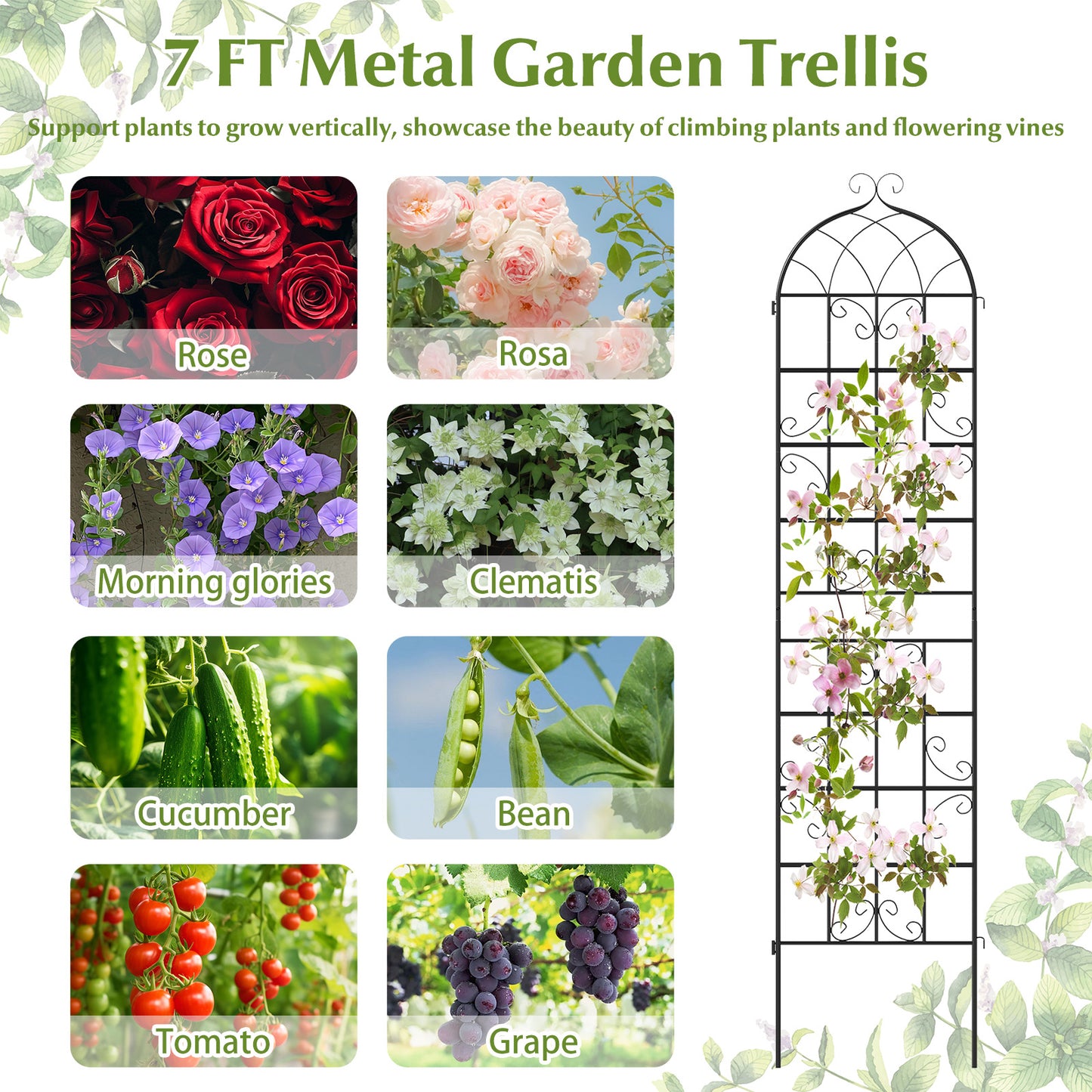 4 Pack 86" x 20" Metal Garden Trellis for Outdoor Climbing Plants