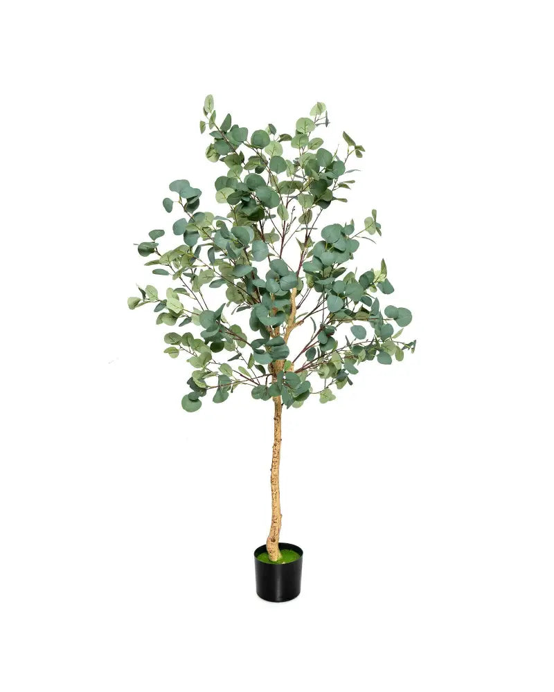 5.5 Feet Artificial Eucalyptus Tree with 517 Silver Dollar Leaves-1 Pack - Black & Green - Faux Plants