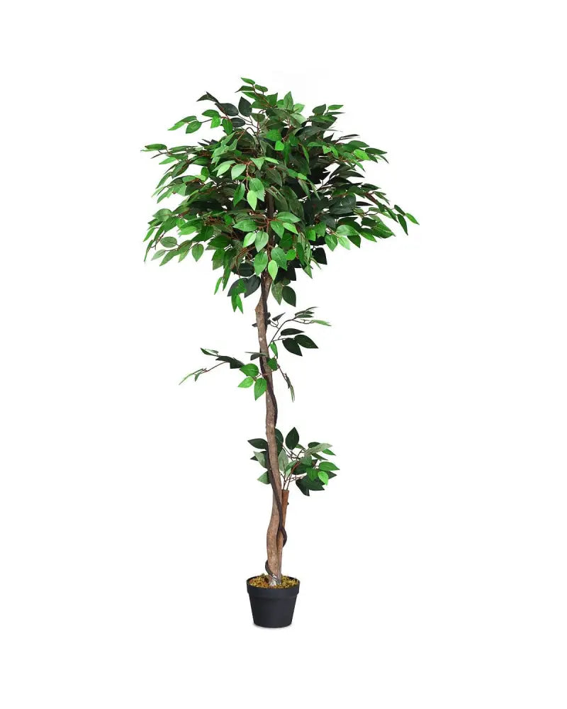 5.5 Feet Artificial Ficus Silk Tree with Wood Trunks - Green - Faux Plants