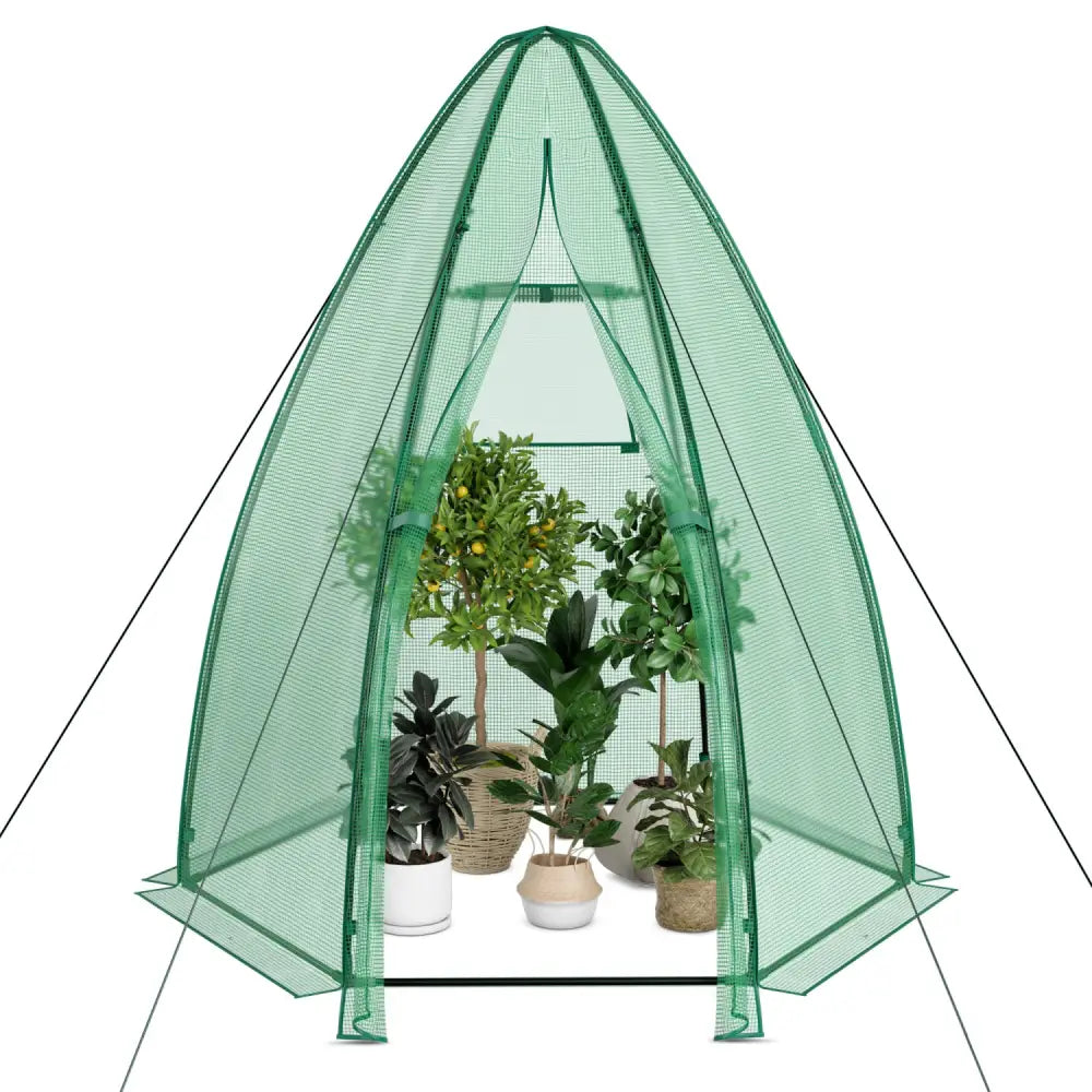5.5 x 5.5 x 6 Feet Portable Mini Greenhouse with All-Weather PE Cover - Green - Greenhouses