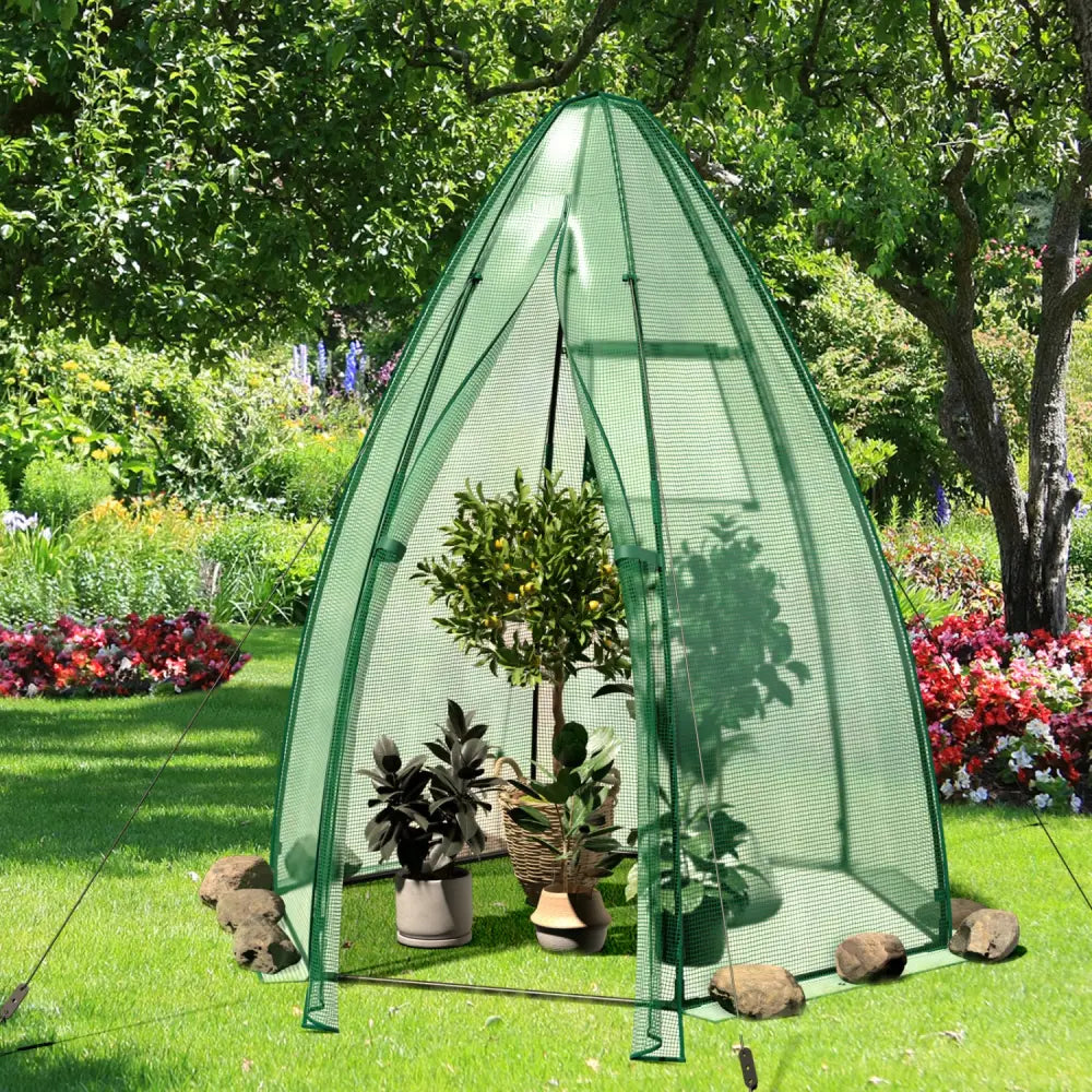 5.5 x 5.5 x 6 Feet Portable Mini Greenhouse with All-Weather PE Cover - Green - Greenhouses