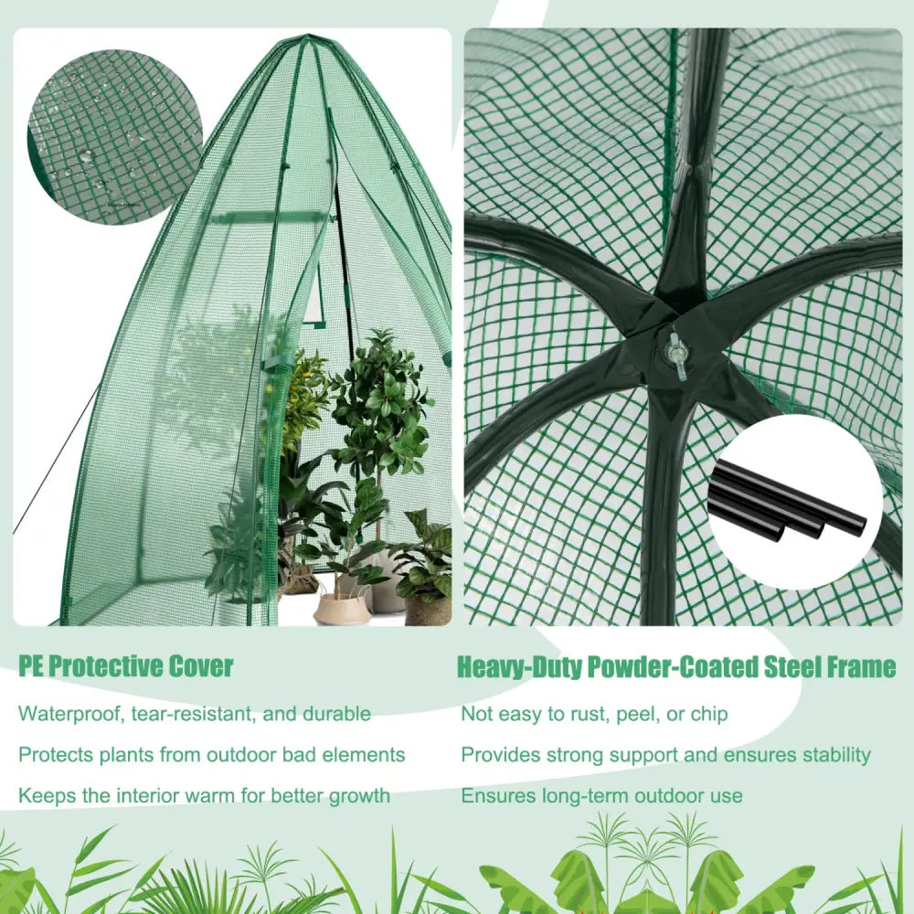 5.5 x 5.5 x 6 Feet Portable Mini Greenhouse with All-Weather PE Cover - Green - Greenhouses
