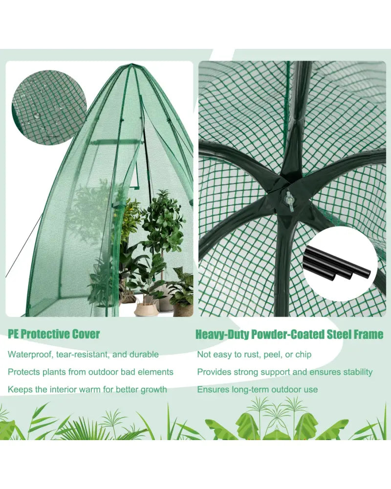 5.5 x 5.5 x 6 Feet Portable Mini Greenhouse with All-Weather PE Cover - Green - Greenhouses