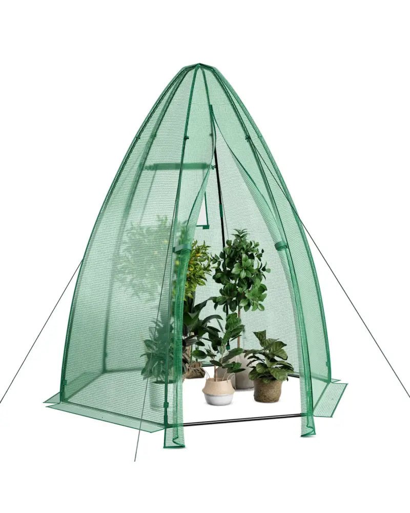5.5 x 5.5 x 6 Feet Portable Mini Greenhouse with All-Weather PE Cover - Green - Greenhouses