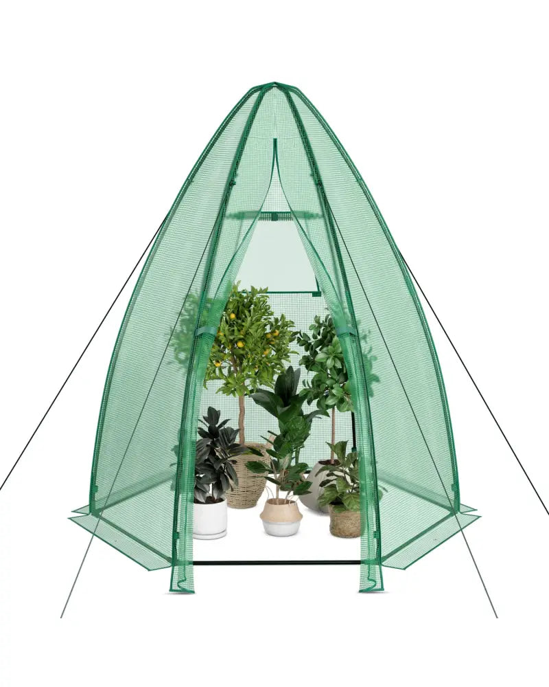 5.5 x 5.5 x 6 Feet Portable Mini Greenhouse with All-Weather PE Cover - Green - Greenhouses