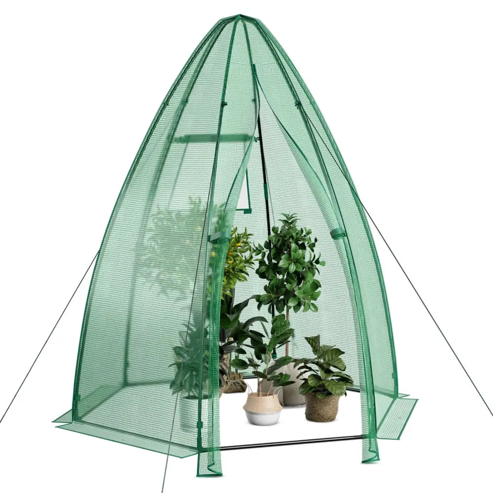 5.5 x 5.5 x 6 Feet Portable Mini Greenhouse with All-Weather PE Cover - Green - Greenhouses