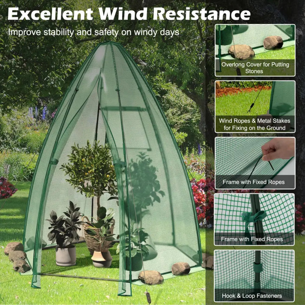 5.5 x 5.5 x 6 Feet Portable Mini Greenhouse with All-Weather PE Cover - Green - Greenhouses