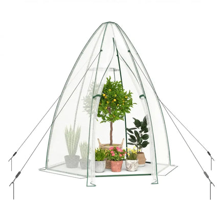 5.5 x 5.5 x 6 Feett Portable Garden Mini Greenhouse with All-Weather PE Cover-White - White - Greenhouses