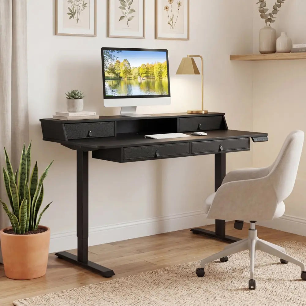 55 Inch x 27 Inch Electric Standing Desk with Drawers-Black - Black - Standing Desks
