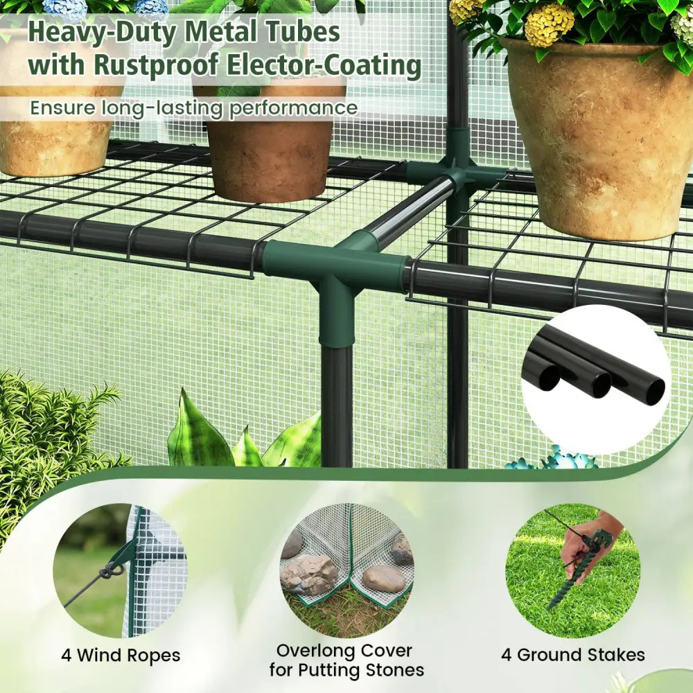56 x 56 x 77 Inch Walk-in Greenhouse with Observation Windows-White - White - Greenhouses