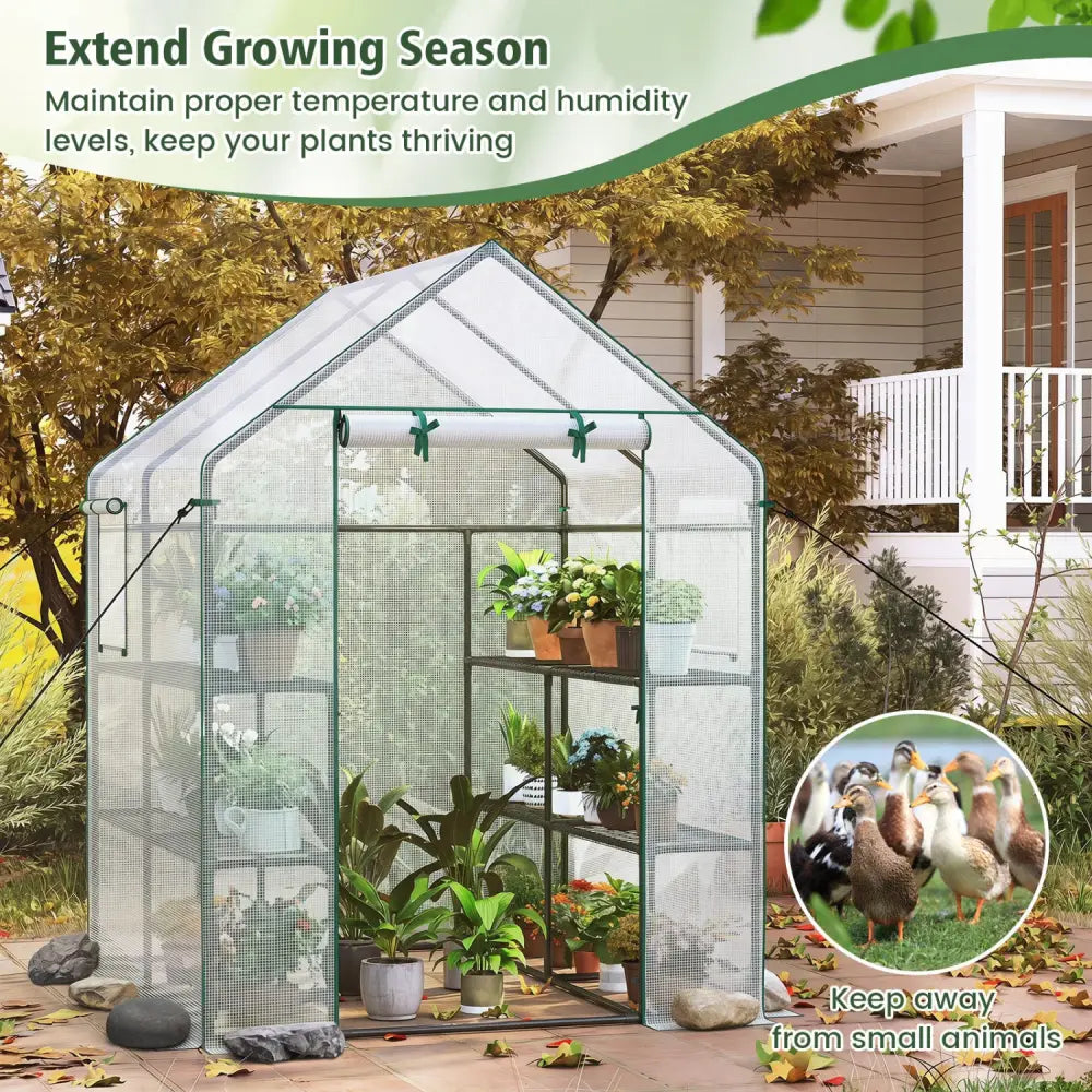 56 x 56 x 77 Inch Walk-in Greenhouse with Observation Windows-White - White - Greenhouses