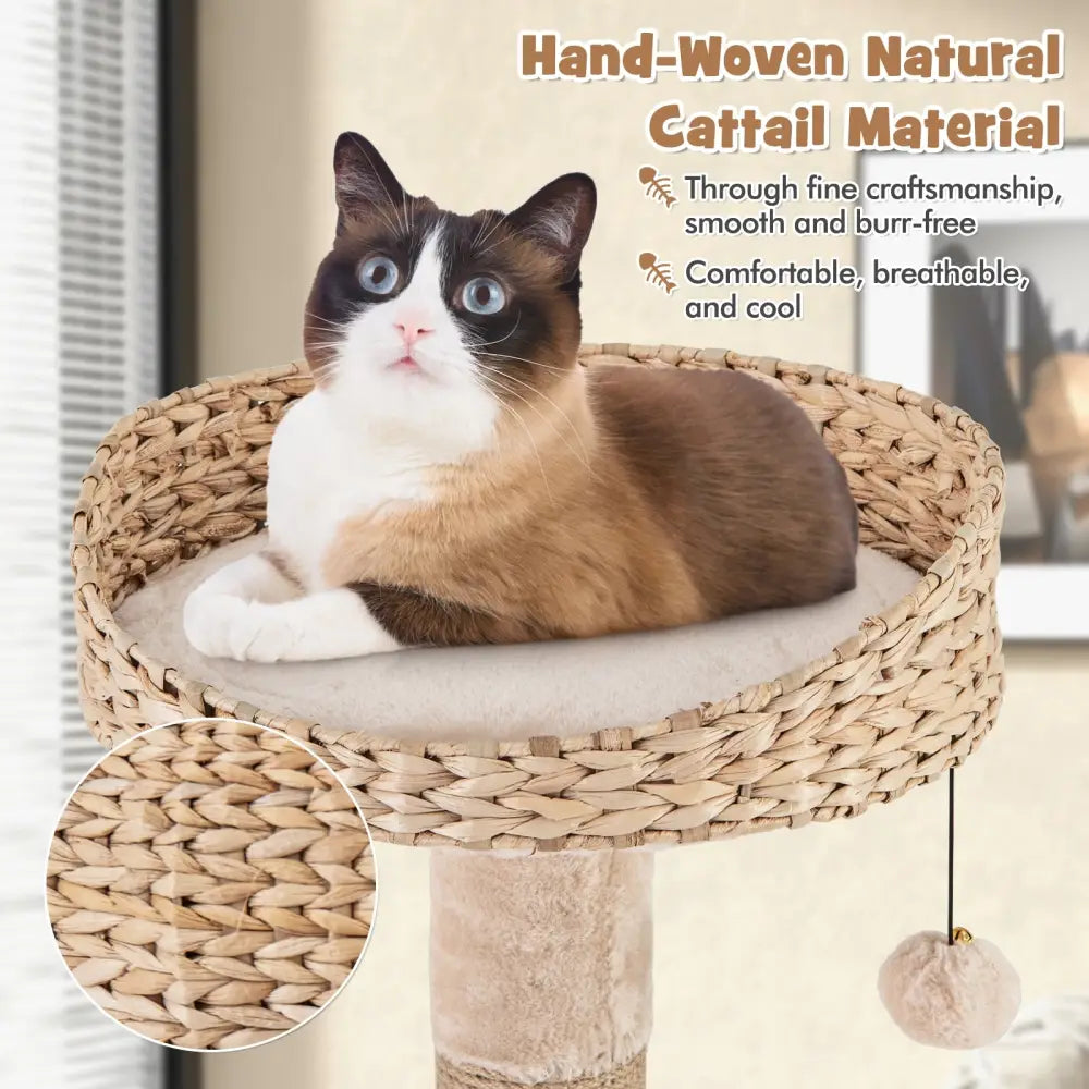 59 Inches Cat Tree with Perch and Soft Hammock for Indoor Cats-Beige - Beige - Cat Trees Condos & Scratchers