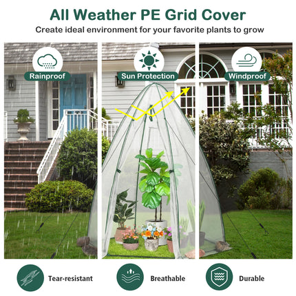 5.5 x 5.5 x 6 Feett Portable Garden Mini Greenhouse with All-Weather PE Cover-White