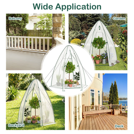 5.5 x 5.5 x 6 Feett Portable Garden Mini Greenhouse with All-Weather PE Cover-White