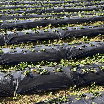 6.5 x 330/4 x 250/6 x 300 Feet Weed Barrier Landscape Fabric-4 ft - Black - Garden Tools