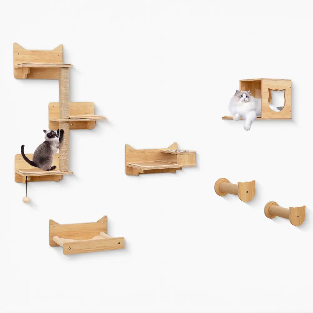 6 Pieces Cat Wall Furniture Set Kitten Wall Mounted Shelves-Natural - Natural - Cat Trees Condos & Scratchers