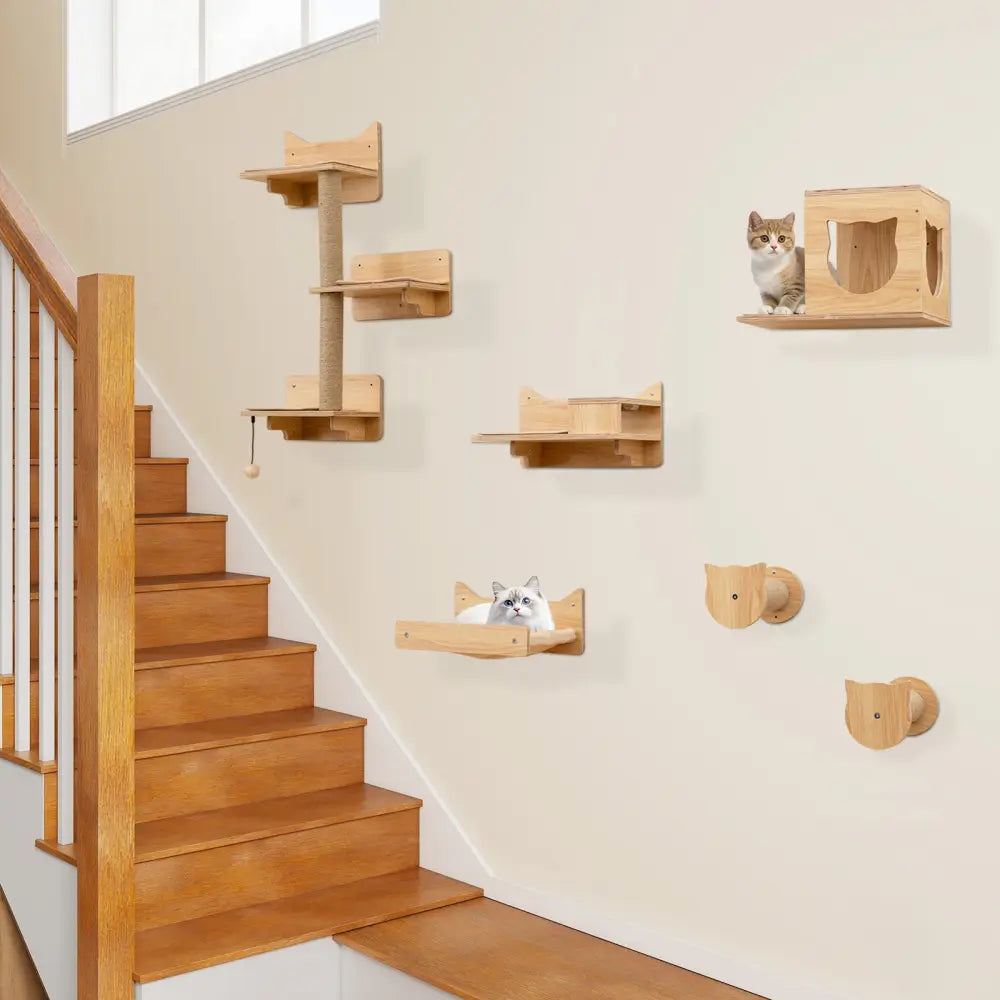6 Pieces Cat Wall Furniture Set Kitten Wall Mounted Shelves-Natural - Natural - Cat Trees Condos & Scratchers
