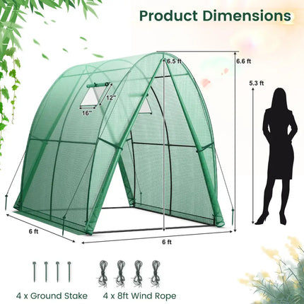 6 x 6 x 6.6 FT Outdoor Wall-in Tunnel Greenhouse-Green - Green - Greenhouses