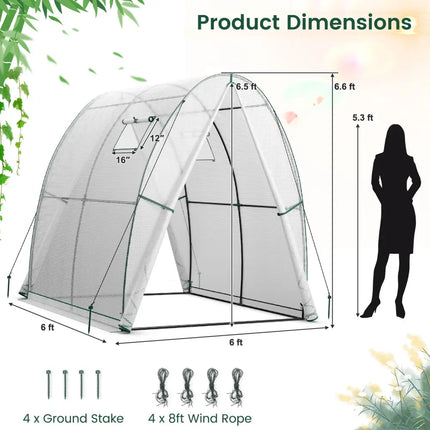 6 x 6 x 6.6 FT Outdoor Wall-in Tunnel Greenhouse-White - White - Greenhouses